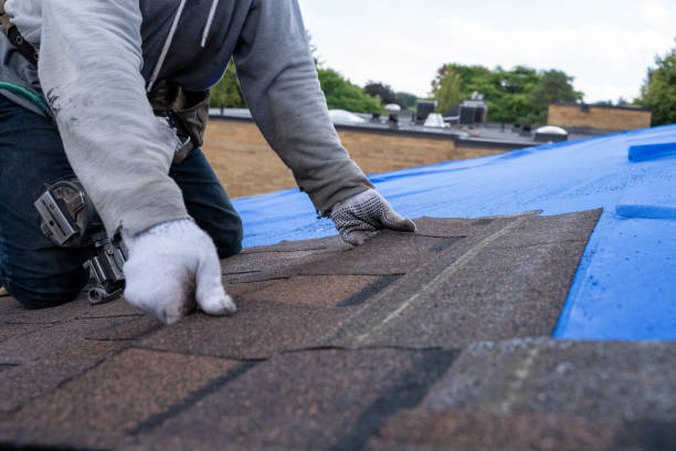Best Roof Gutter Cleaning  in North Granby, CT