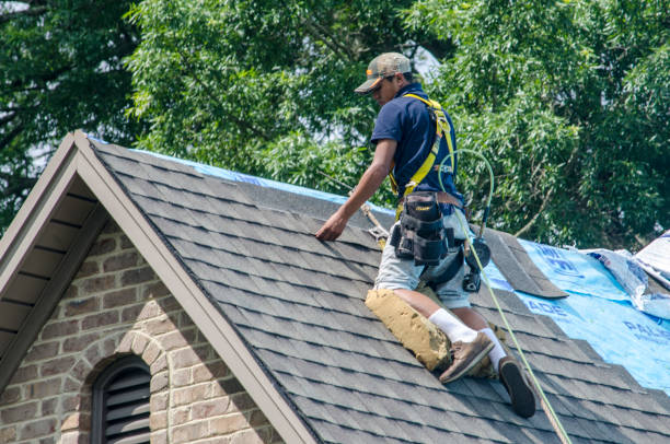 Best Storm Damage Roof Repair  in North Granby, CT